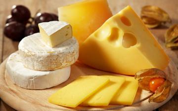 Сырные продукты могут вызывать наркотическую зависимость, - ученые 