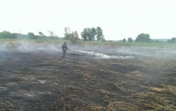 На Киевщине продолжают гореть торфяники