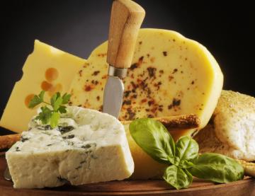 Ученые установили, как сыр воздействует на мозг