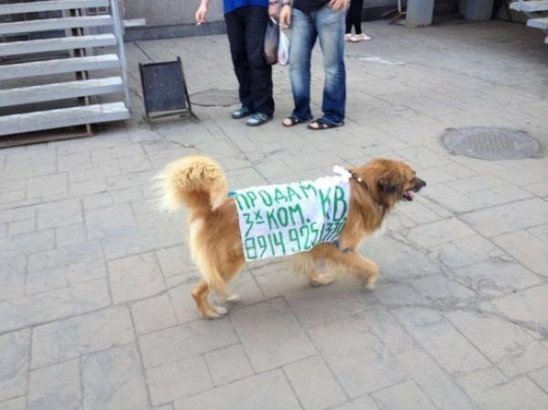 Забавные примеры креативного подхода к рекламе (ФОТО)