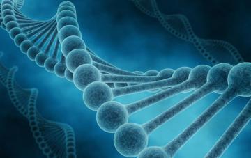 Ученые обнаружили ген сепсиса