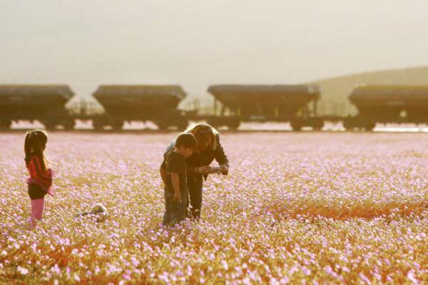 Поразительная аномалия самого засушливого места на Земле (ФОТО)