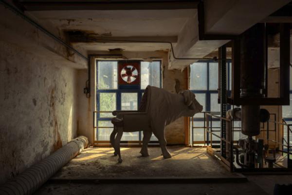 Удивительные кресла-животные от художника и дизайнера из Испании (ФОТО)