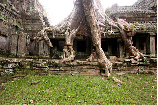 Спокойной ночи! 8 фотографий, которые не дадут вам уснуть (ФОТО) Спокойной ночи! 8 фотографий, которые не дадут вам уснуть (ФОТО)