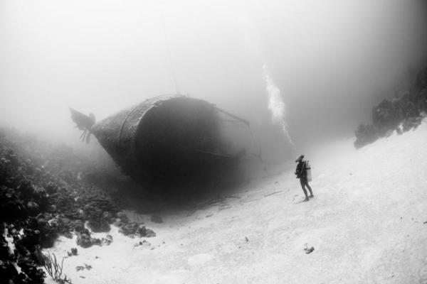 Лучшие фотоснимки с конкурса National Geographic Photo Contest 2015 (ФОТО)