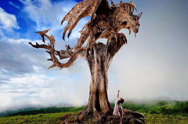 Британский художник создает сказочные скульптуры из древесины (ФОТО)