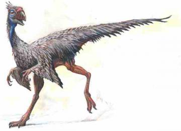 В США нашли останки крупнейшего пернатого динозавра