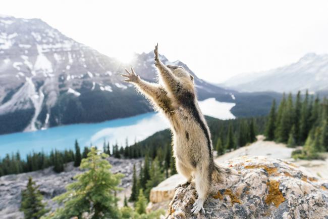 Невероятные снимки. Подборка лучших работ National Geographic 2015 (ФОТО)