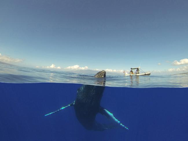 Невероятные снимки. Подборка лучших работ National Geographic 2015 (ФОТО)