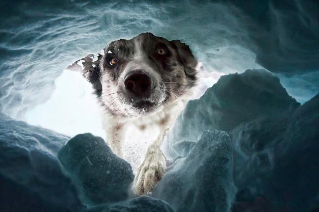 Невероятные снимки. Подборка лучших работ National Geographic 2015 (ФОТО)