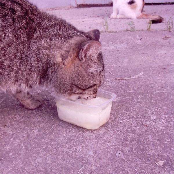 15 доказательств того, что мир полон добрых людей (ФОТО) 