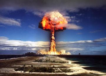 10 форм жизни, которые переживут ядерную войну (ВИДЕО)