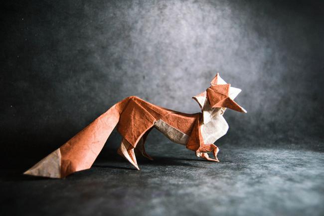 Искусство оригами. Испанец показал бумажный зоопарк (ФОТО)
