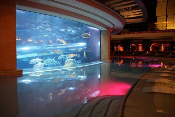 10 самых невероятных аквариумов со всего мира (ФОТО)