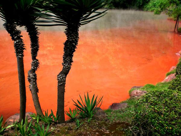 Жуткое зрелище. Кровавый пруд в Японии (ФОТО)