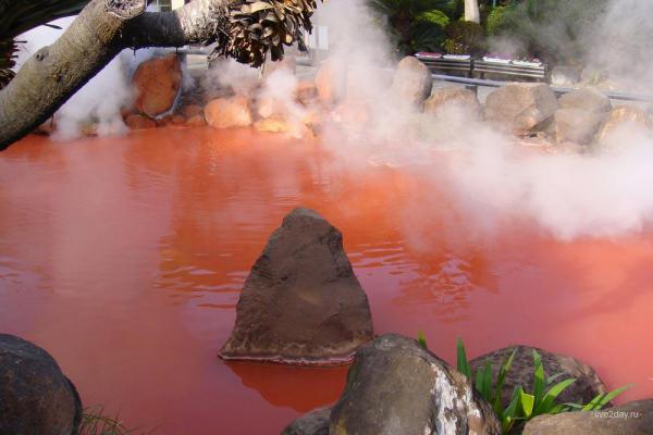 Жуткое зрелище. Кровавый пруд в Японии (ФОТО)