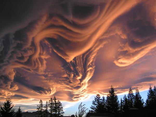 20 потрясающих фотографий на которых нет фотошопа  (ФОТО)
