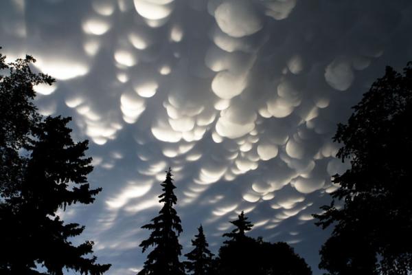 20 потрясающих фотографий на которых нет фотошопа  (ФОТО)