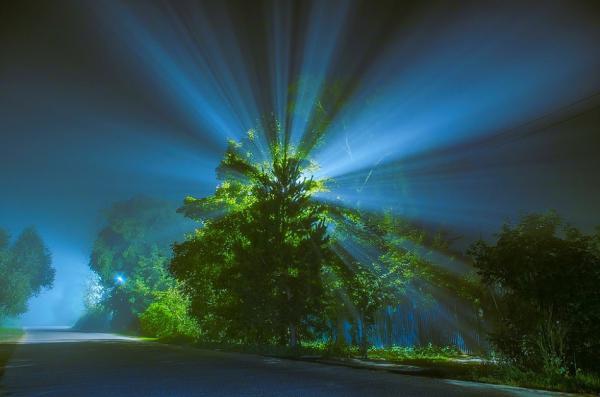 Завораживающие снимки, от которых невозможно отвести взгляд (ФОТО)