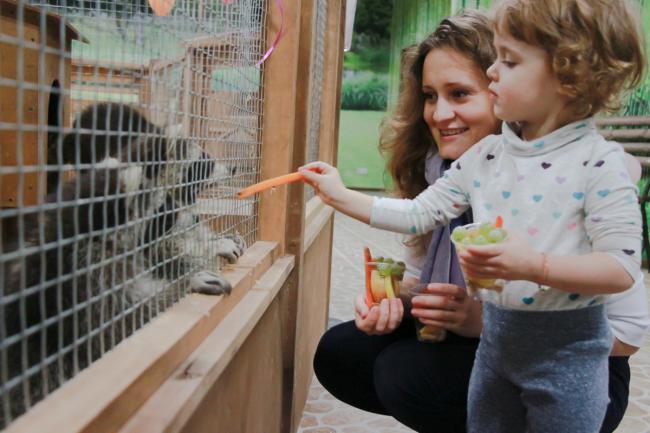 В столице открылся зоопарк, где можно погладить и покормить зверей (ФОТО)
