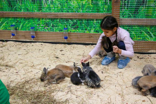 В столице открылся зоопарк, где можно погладить и покормить зверей (ФОТО)