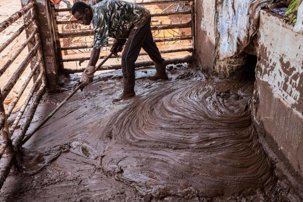 Ужасающие последствия техногенной катастрофы в Бразилии (ФОТО)