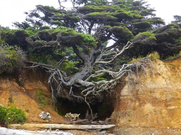 10 потрясающих фотографий, в реальность которых сложно поверить (ФОТО)