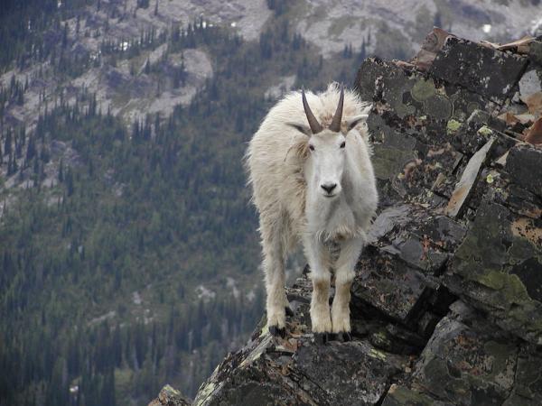 10 потрясающих фотографий, в реальность которых сложно поверить (ФОТО)