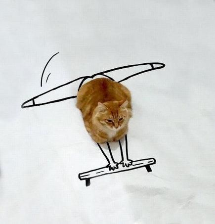 Рыжий кот на снегу стал звездой Интернета (ФОТО)