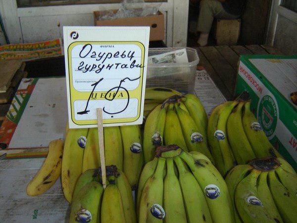 20 очень странных ситуаций, к которым жизнь нас не готовила (ФОТО) 20 очень странных ситуаций, к которым жизнь нас не готовила (ФОТО)