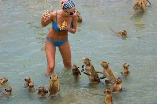 20 случайных фотографий, которые заставят вас взглянуть на них дважды (ФОТО)