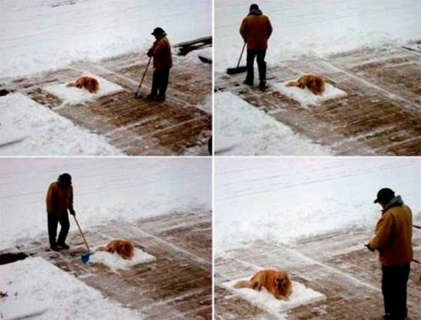 Непростые зимние будни коммунальщиков (ФОТО)