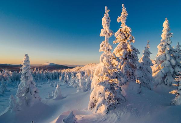 10 фотографий, которые докажут, что зима — это волшебная пора (ФОТО)