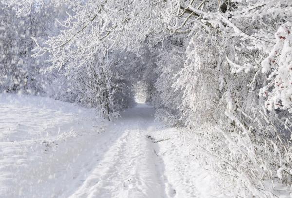 10 фотографий, которые докажут, что зима — это волшебная пора (ФОТО)