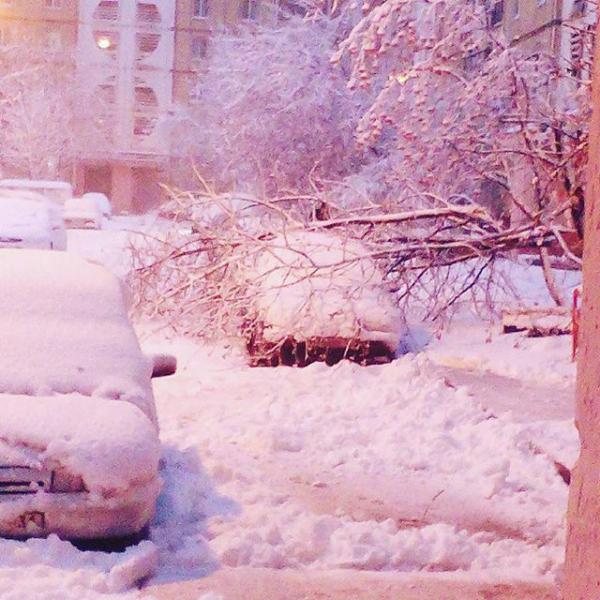 7 неожиданностей, которые ждут вас этой зимой (ФОТО)