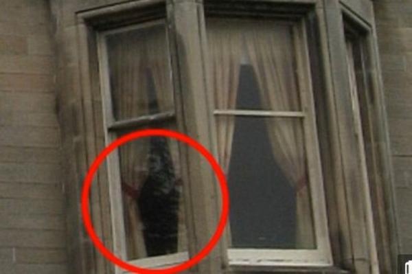 Загадочный мост в Шотландии заставляет собак прыгать в пропасть (ФОТО)