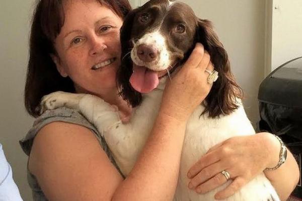 Загадочный мост в Шотландии заставляет собак прыгать в пропасть (ФОТО)