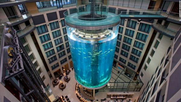 20 шикарных фотографий, которые показывают насколько удивителен наш мир (ФОТО)