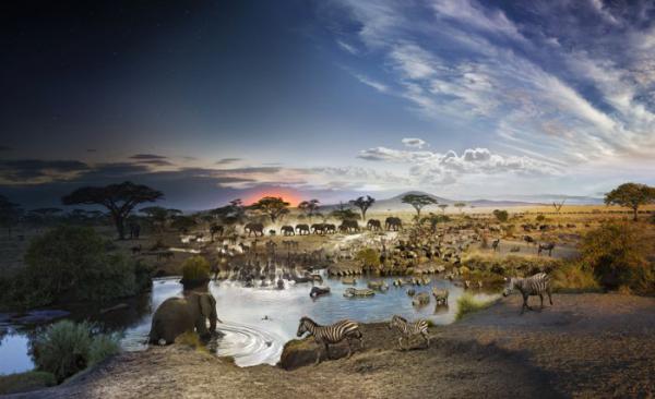 Фотограф из США показал переход от дня к ночи в серии своих удивительных работ (ФОТО)