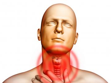 12 симптомов, сигнализирующих о проблемах с щитовидной железой