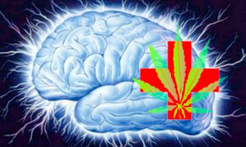 Препарат на основе марихуаны поможет эпилептикам