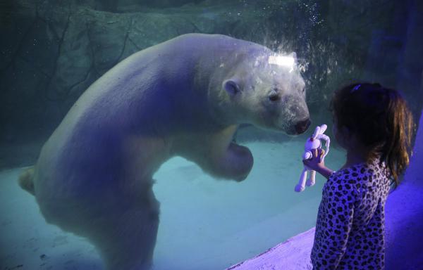 Лучшие фотографии 2015 года по версии агентства Associated Press (ФОТО)