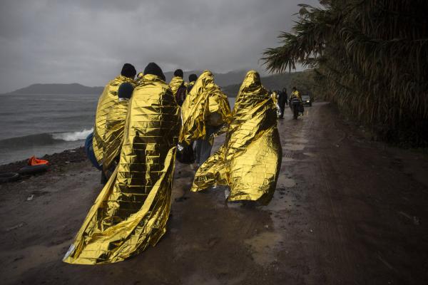 Лучшие фотографии 2015 года по версии агентства Associated Press (ФОТО)