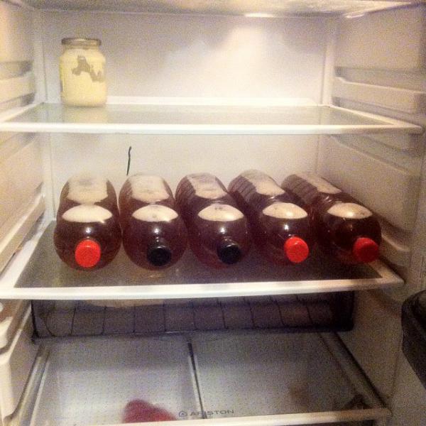 Жизнь по-холостяцки (ФОТО)