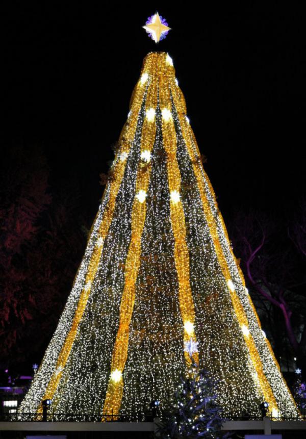 Самые восхитительные новогодние елки мира (ФОТО)