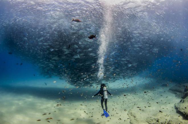 20 лучших фотографий года по версии читателей National Geographic (ФОТО)