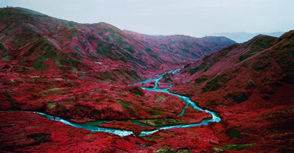 “Цвет войны” – необычный проект фотографа из Ирландии (ФОТО)