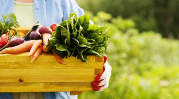Органическая пища. Неизвестная польза естественных продуктов