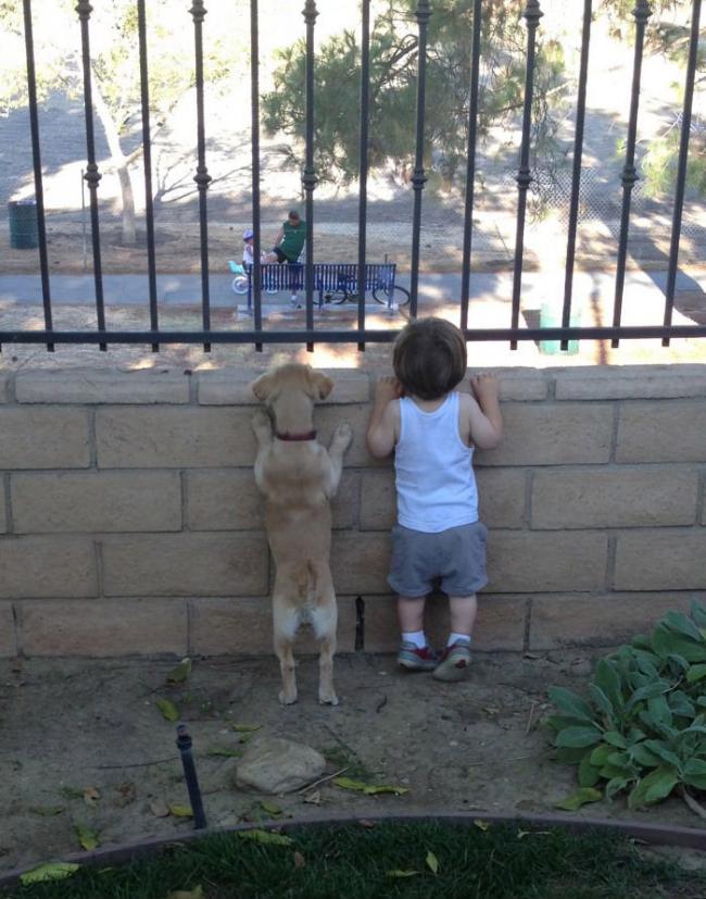 20 трогательных снимков, которые доказывают, что детям нужны домашние животные (ФОТО)
