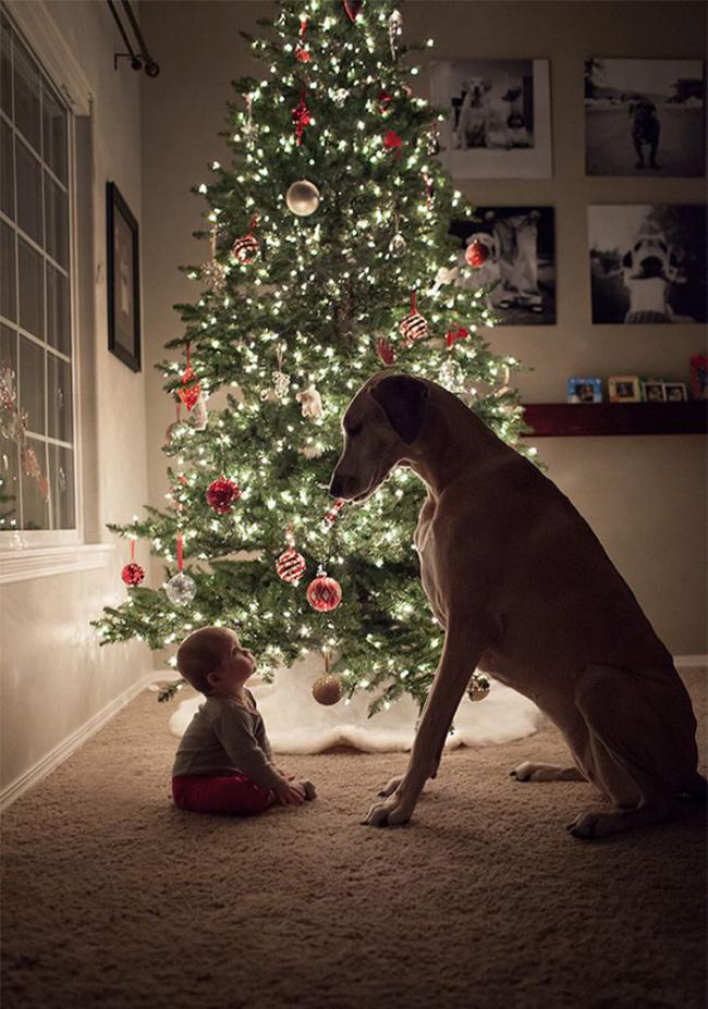20 трогательных снимков, которые доказывают, что детям нужны домашние животные (ФОТО)